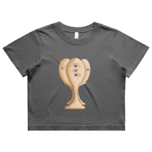 Heavy Faded Crop Tee De Huilzuil
